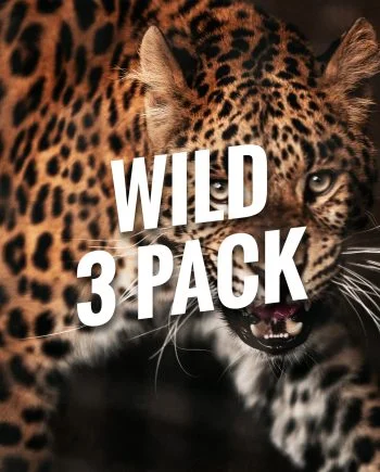Wild Bracelets 3 Pack
